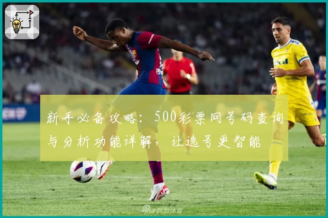 新手必备攻略：500彩票网号码查询与分析功能详解，让选号更智能