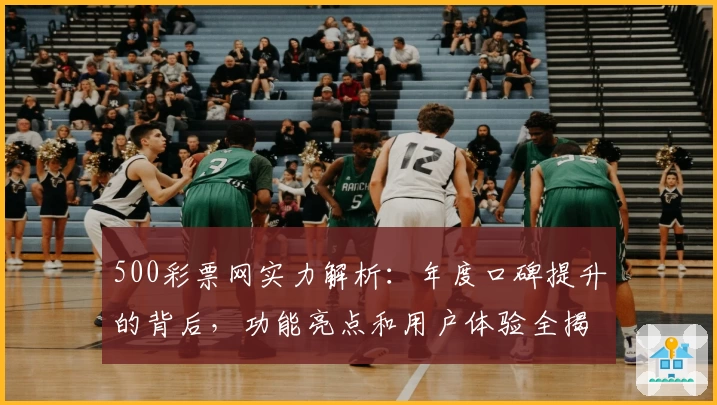 500彩票网实力解析：年度口碑提升的背后，功能亮点和用户体验全揭秘