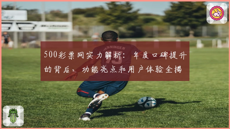 500彩票网实力解析：年度口碑提升的背后，功能亮点和用户体验全揭秘