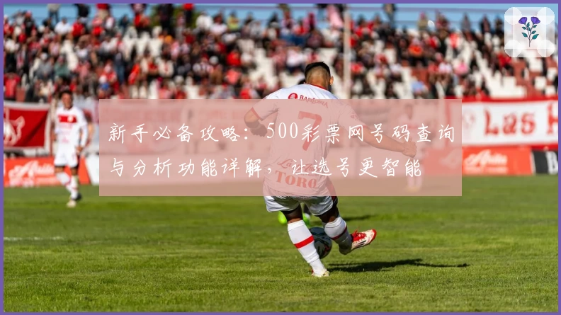 新手必备攻略：500彩票网号码查询与分析功能详解，让选号更智能