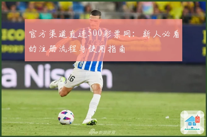 官方渠道直连500彩票网：新人必看的注册流程与使用指南